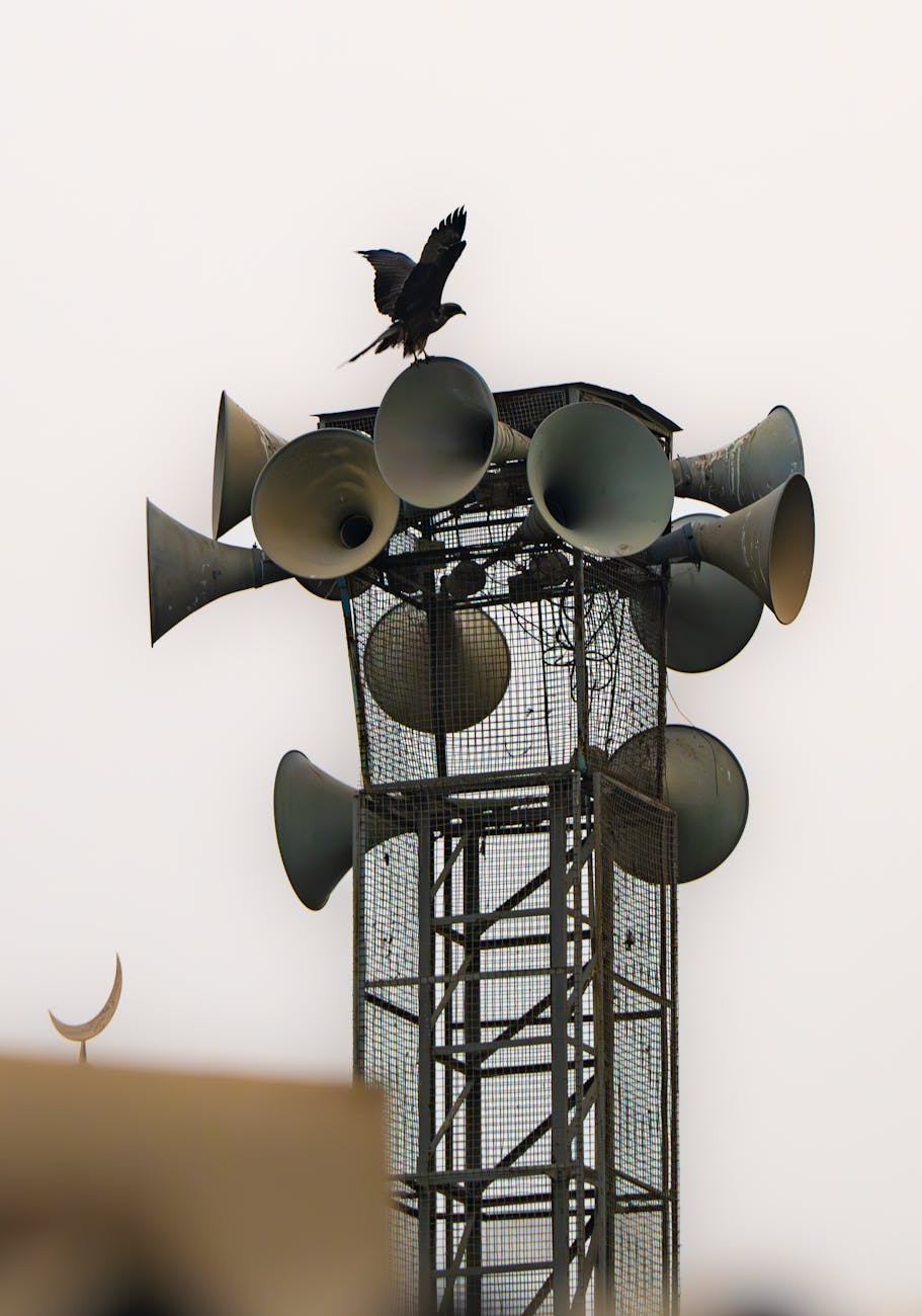 KËNDIMI MBI TIRANË